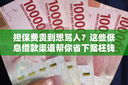 北京担保费贵到想骂人？这些低息借款渠道帮你省下冤枉钱