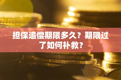 北京担保追偿期限多久？期限过了如何补救？
